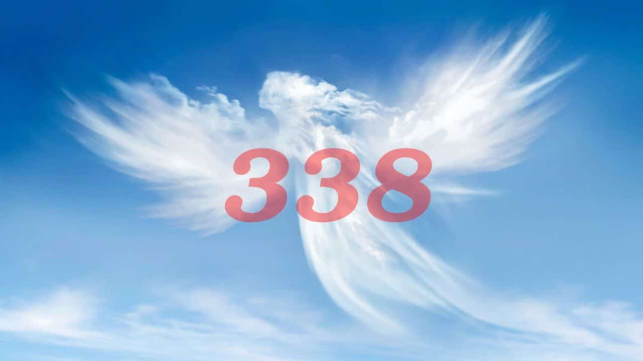 338 Angel Number