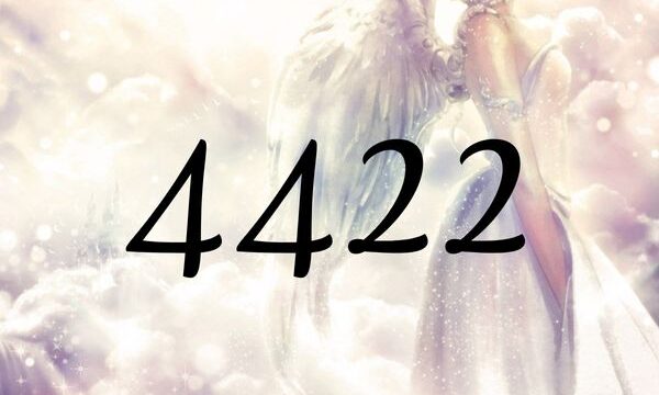 4422 angel number