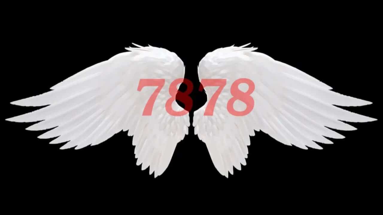 7878 Angel Number
