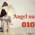 0101 فرشتہ نمبر