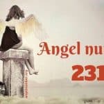 231 angel number