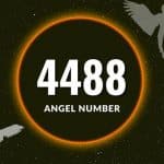 Số 4488 thiên thần