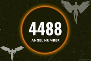 4488 angel number