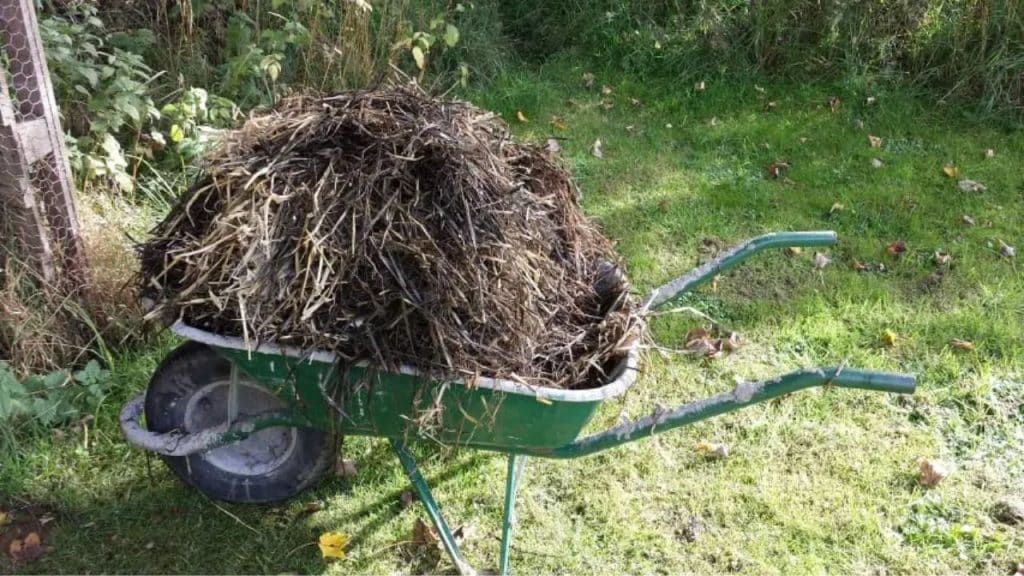 Disposal in Straw Bales
