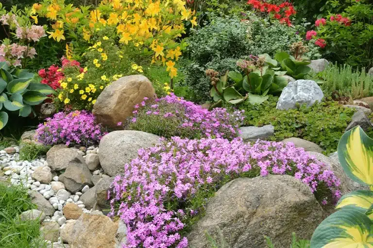 How to Build a Rock Garden