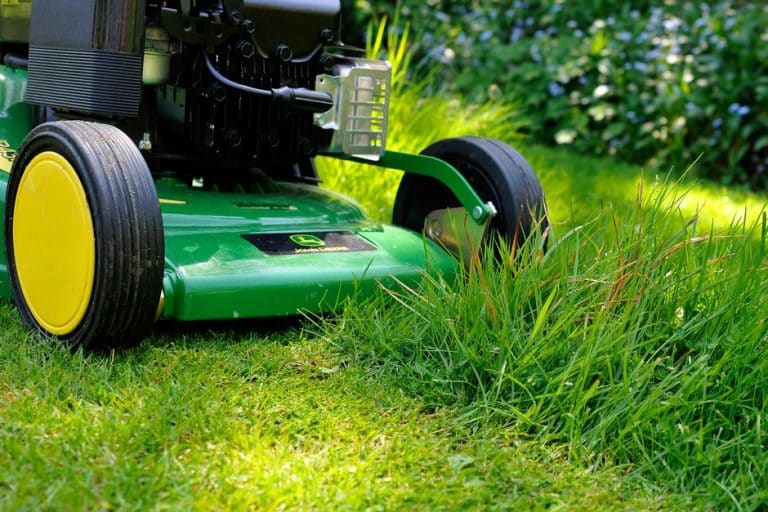Tips of  Maintaining Your Lawn