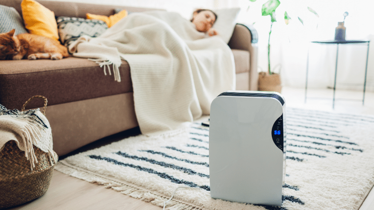 How Does Dehumidifiers Work