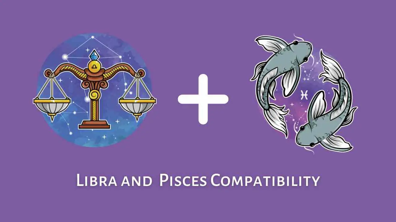 Libra And Pisces Compatibility Are They a Good Match in Sex, Love, and
