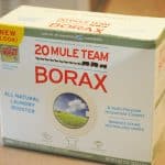 borax powder uses at home